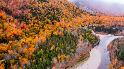 Drone view of Cape Breton Island, Autumn Colors in Forest, Forest Drone view, Colorful Trees in...