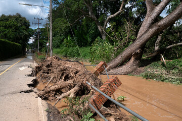 Fallen trees uprooted and roads asphalt pavement destroyed after water floods.