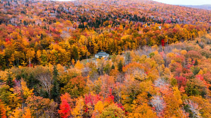 Drone view of Cape Breton Island, Autumn Colors in Forest, Forest Drone view, Colorful Trees in Forest