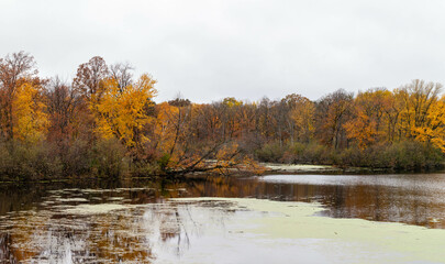Wisconsin River in Wausau, Wisconsin with colorful autumn leaves in October