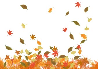 autumn leaves background illustration 
가을 낙엽 일러스트 단풍잎 은행잎 나뭇잎 일러스트 