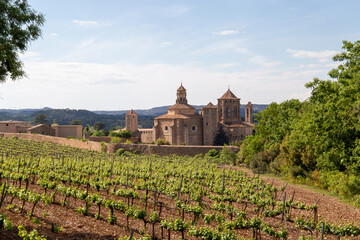 Fototapeta na wymiar Church surrounded by vineyards on a sunny day