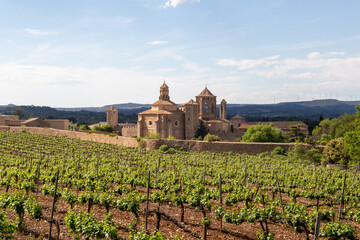 Fototapeta na wymiar Church surrounded by vineyards on a sunny day