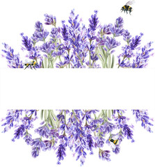Watercolor lavender frame, Provence flowers, for wedding invitations © ElenaDoroshArt
