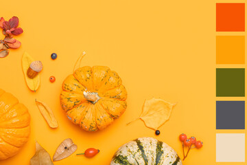 Autumn leaves, pumpkins and berries on orange background, top view. Different color patterns