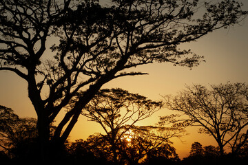 Atardecer