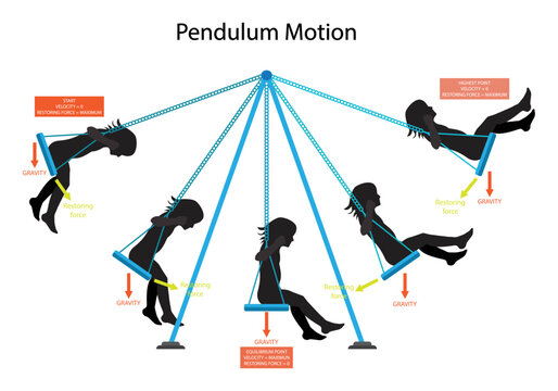 illustration of physics, Pendulum Motion, Period of a Pendulum, Simple harmonic motion, pendulum is a weight suspended from a pivot so that it can swing freely