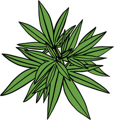 simplicity cannabis leaf freehand drawing