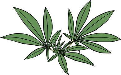 Fototapeta premium simplicity cannabis leaf freehand drawing