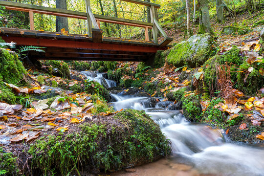 Schramberg im Herbst