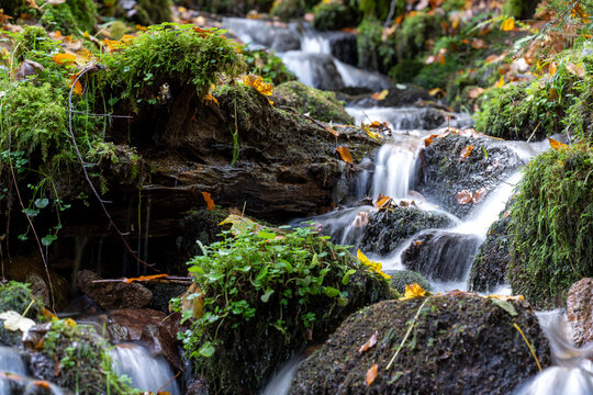 Schramberg im Herbst