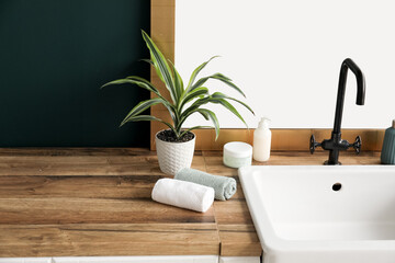 Bath accessories, mirror, houseplant and sink on table near dark wall