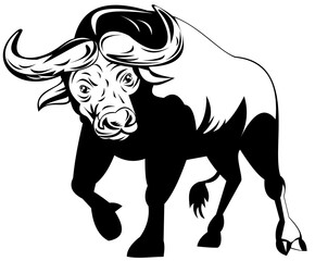 illustration of an african bull attacking on isolated background