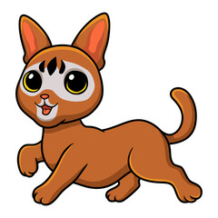 Cute abyssinian cat cartoon walking