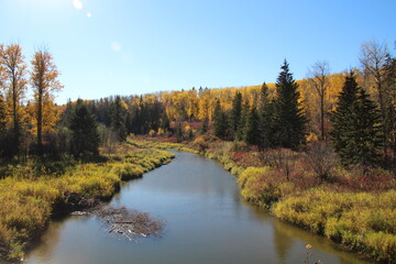 autumn in the park