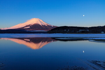 ピンクに染まった逆さ富士　山梨県南都留郡山中湖にて