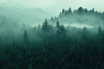Papier peint photo  Foggy mountain landscape with fir forest.  © The 2R Artificiality