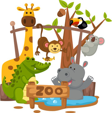 cartoon animal zoo