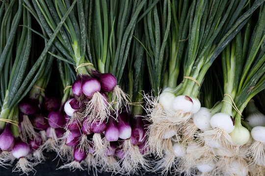 Bunches of spring onions at farmers market