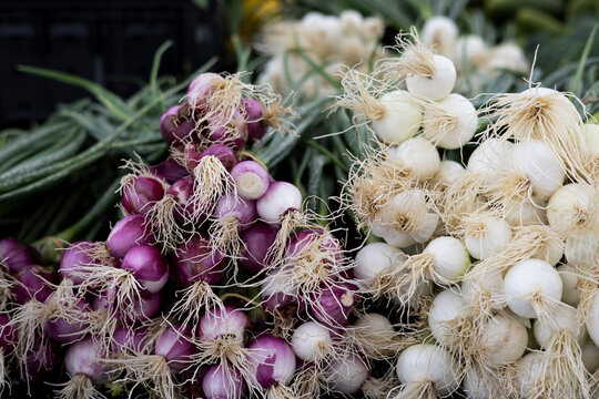 Bunches of spring onions at farmers market