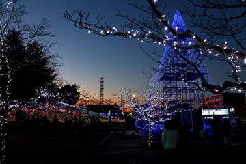 イルミネーションが輝く夜の公園