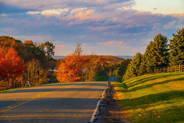 Naklejka premium autumn in the park