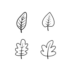 Set of botanical line art petals, plants. Sketch branch isolated on a white background. Vector illustration