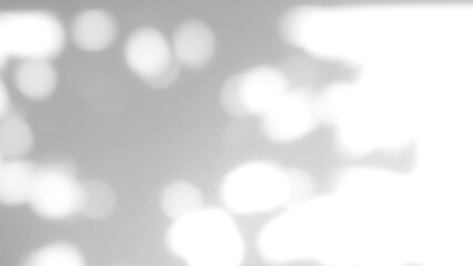 Blur Overlay Shadow Leaves Background,Abstract Sunlight effect Nature on Gray Cement Backdrop,Mock Up Display Free Space for add Products presentation,Structure Concrete Material Floor Construction.