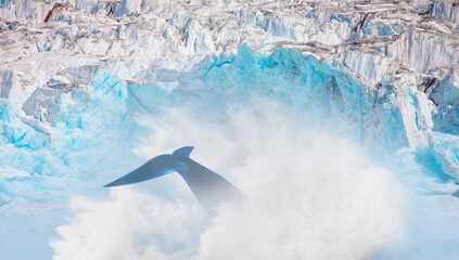 Whale dive near Kulusuk among icebergs