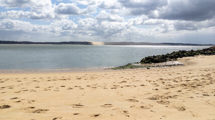 landscape pyla dune on Atlantic beach in sand dunes fence in lege Cap-Ferret pilat ocean france