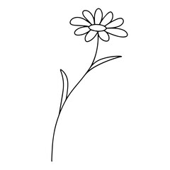  Delicate sketch of a spring flower. Vector illustration in hand drawn style