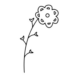  Delicate sketch of a spring flower. Vector illustration in hand drawn style