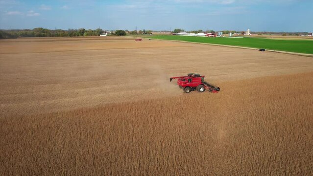 A Farmer Harvests A Crop Of Soybeans In Northeast Wisconsin. Seymour, WI, USA