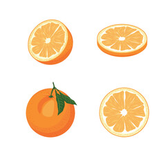 Orange. Set of fresh whole, half, sliced orange fruits isolated on white background.