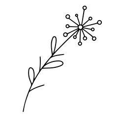  Delicate sketch of a spring flower. Vector illustration in hand drawn style