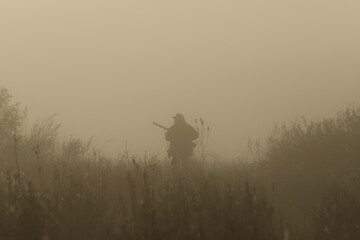Fototapeta na wymiar Un matin dans le brouillard.