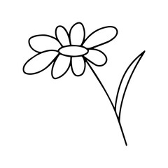  Delicate sketch of a spring flower. Vector illustration in hand drawn style