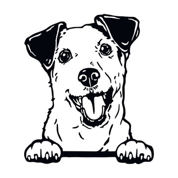 Jack Russell Terrier - Funny Dog, Vector File, Cut Stencil for Tshirt