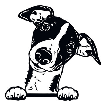 Whippet - Funny Dog, Vector File, Cut Stencil for Tshirt