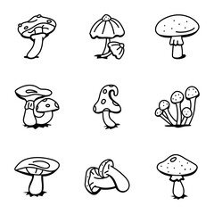 Set of Fungus Types Hand Drawn Icons 

