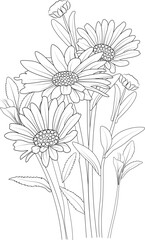 Hand drawn daisy flower bouquet vector sketch illustration engraved ink art botanical leaf branch collection isolated on white background coloring page and books.
