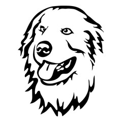 Head portrait of golden dog.  Isolated outline sketch,contour vector illustration