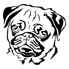 Portrait of pug dog.  Isolated outline sketch,contour vector illustration