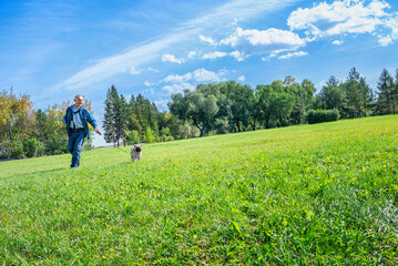 Fototapeta premium an elderly happy handsome man walks in the park on the lawn with a cute pug. he runs down the hill with the dog and laughs. clear warm day and blue sky, garizont falls, selective focus