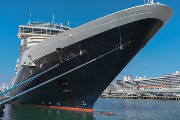HAL cruiseship or cruise ship liner Nieuw Amsterdam at San Diego terminal for Mexican Riviera...