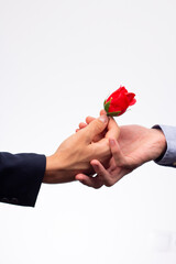 A man's hand in a jacket holds out a rose to another man's hand