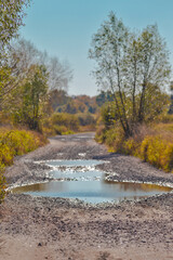 Puddle With Stones At Road Against Autumn Scenery With Trees and Grass on Field of Polesye Natural Resort in Belarus.