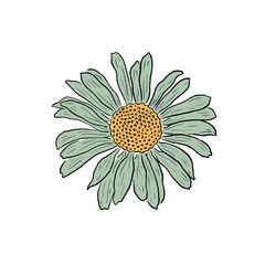 Retro Groovy Flower Daisy. Botanical vintage flower. Design for social media, packaging, Print on T-Shirts, Cards. Floral clipart inspired by 70s and Groovy Hippy. Doodle vector illustration isolated.