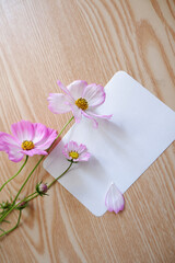 Blank message card composition with pink and white cosmos flowers on wooden table. Autumn greeting concept floral composition.