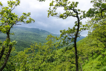 View of the picturesque valley and forest on the way to the eagle shelf. Mezmai